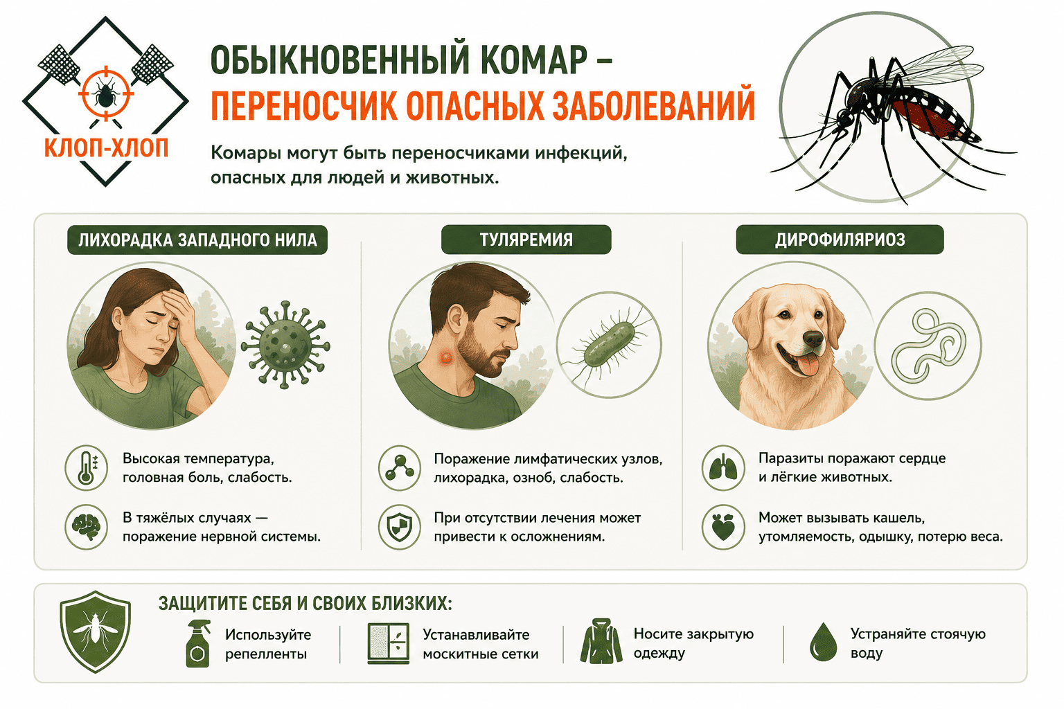 Заболевания, переносимые комаром обыкновенным